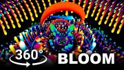 360 Bloom VR