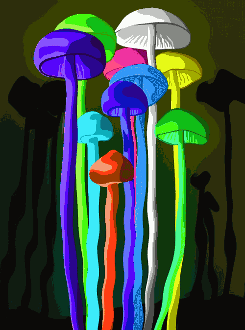 Colorful-Trippy-Shrooms