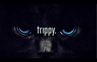 Enjoy The Trip – Trippy Phosphenes